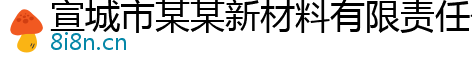 宣城市某某新材料有限责任公司